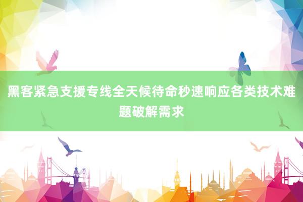 黑客紧急支援专线全天候待命秒速响应各类技术难题破解需求